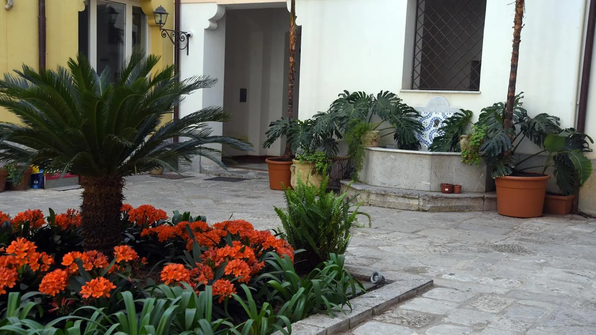 Piano Alloro Palermo Italy